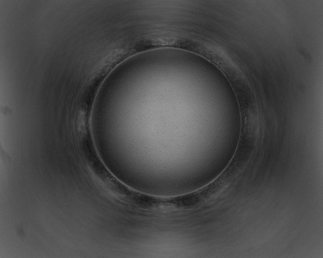 X0000090960598200708021417