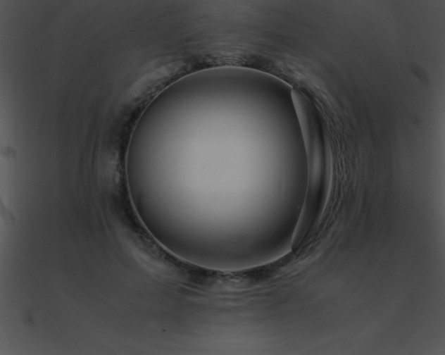 X0000090960599200708021417