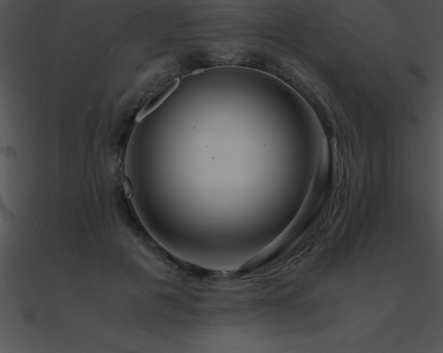 X0000090960601200708021417