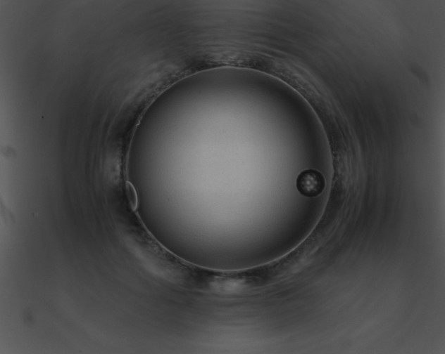 X0000090960602200708021417