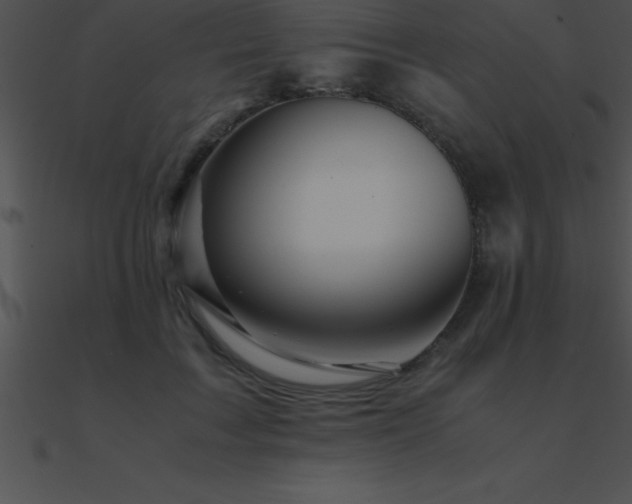 X0000090960603200708021417