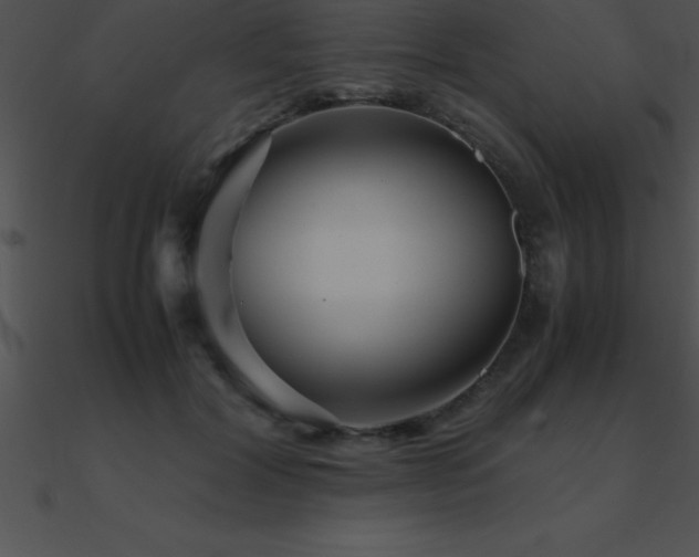 X0000090960604200708021417
