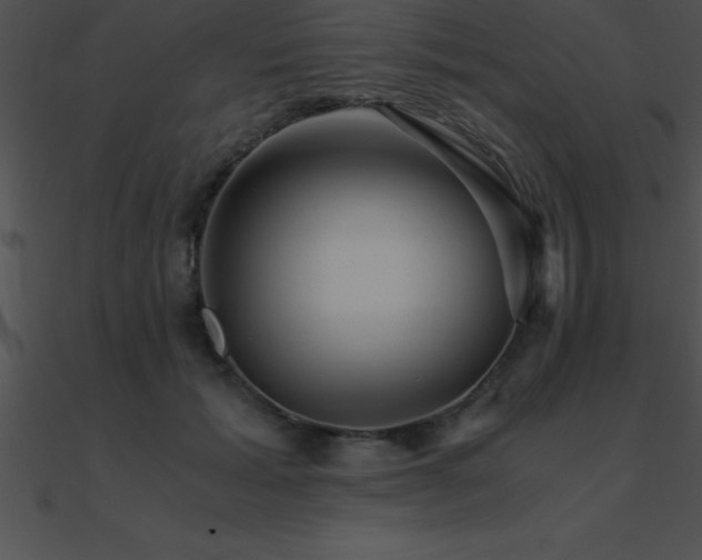 X0000090960605200708021417