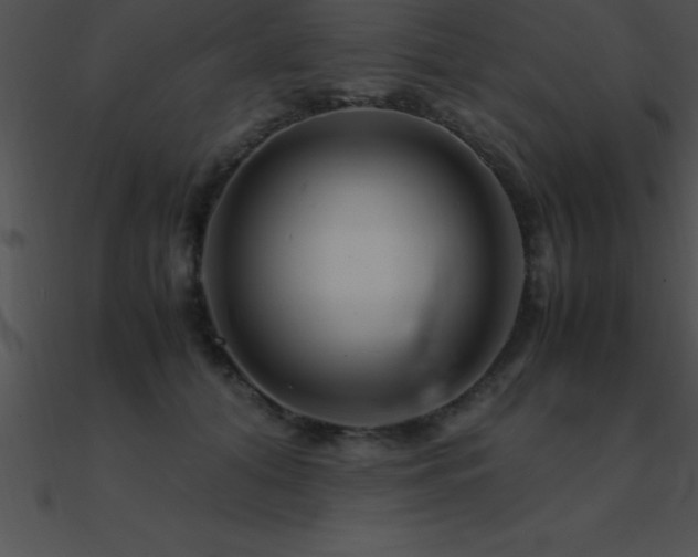 X0000090960608200708021417