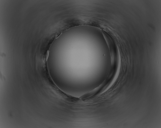 X0000090960613200708021417