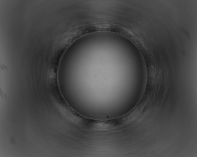 X0000090960614200708021417