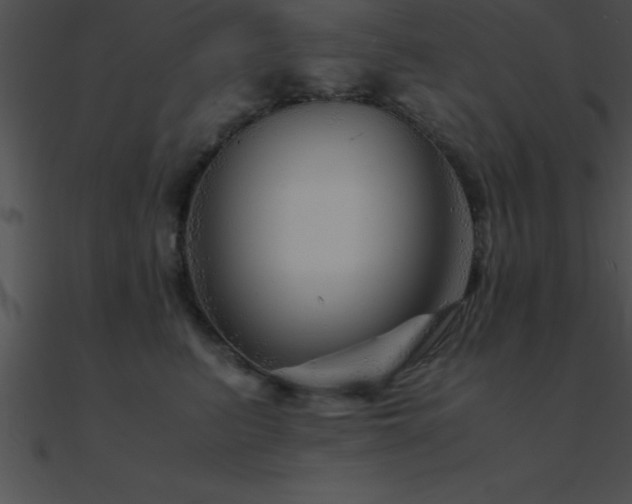 X0000090960615200708021417
