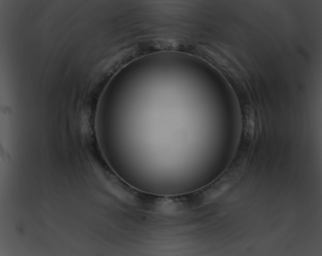 X0000090960616200708021417