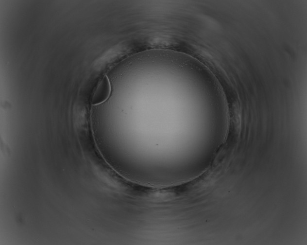 X0000090960619200708021417