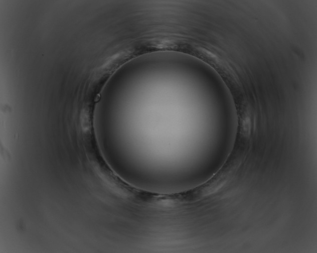 X0000090960620200708021417