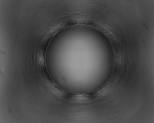 X0000090960622200708021417
