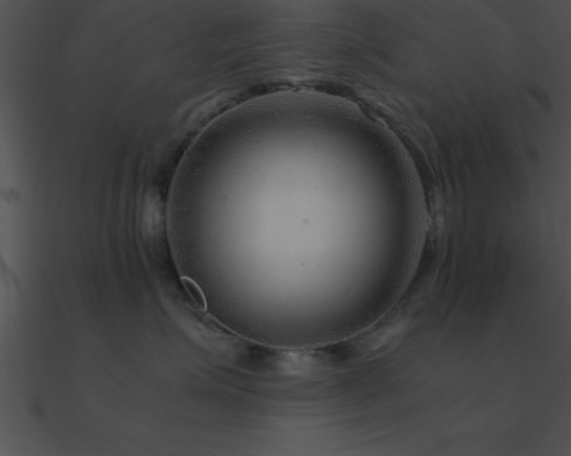 X0000090960623200708021417