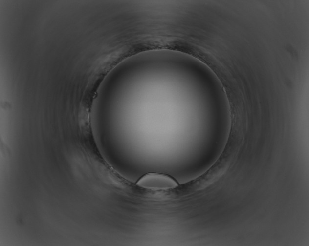 X0000090960624200708021417