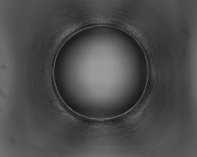 X0000090960625200708021416