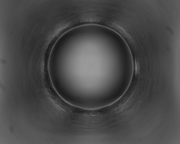 X0000090960627200708021416