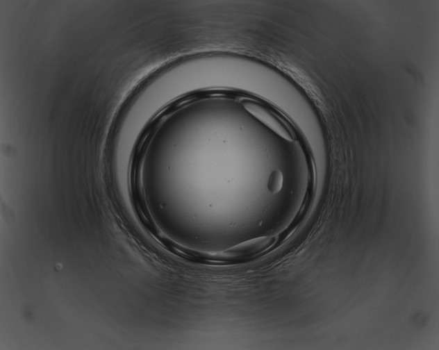 X0000090960628200708021416