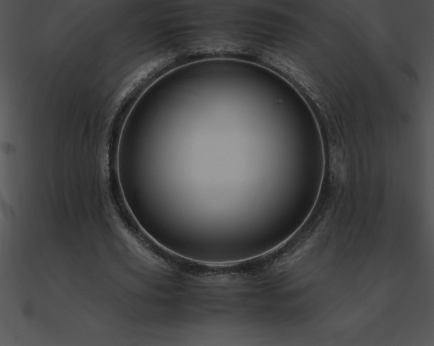 X0000090960629200708021416