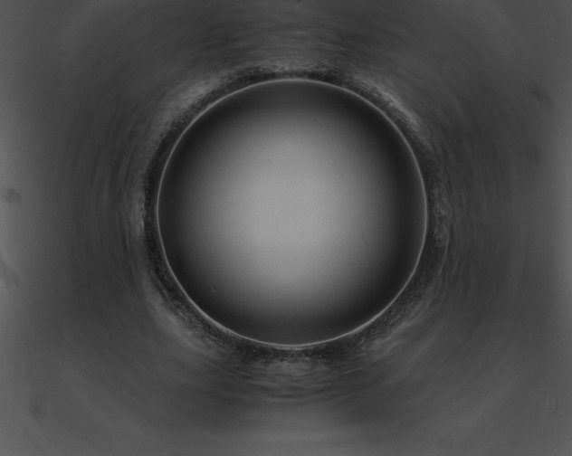 X0000090960631200708021417