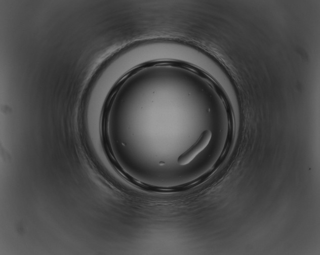 X0000090960632200708021417