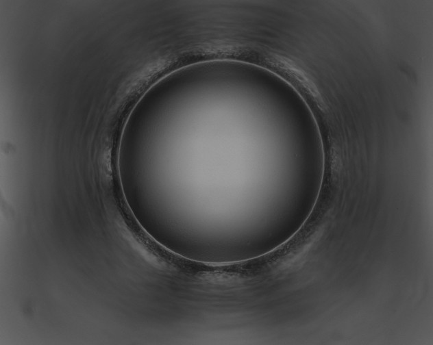 X0000090960633200708021417