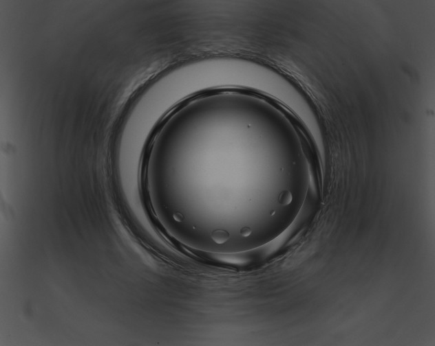 X0000090960634200708021417