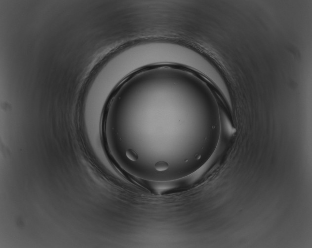 X0000090960636200708021417