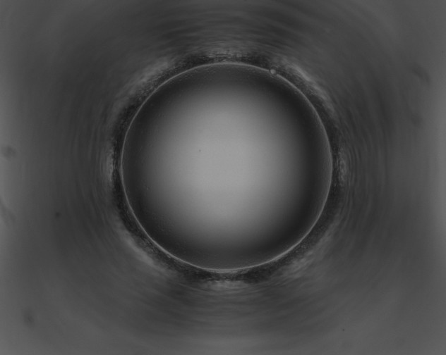 X0000090960637200708021417