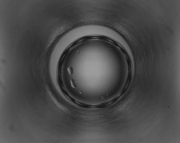 X0000090960638200708021417