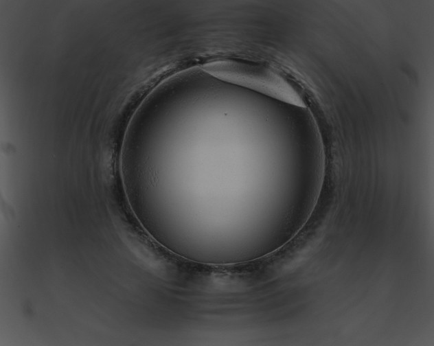 X0000090960641200708021417