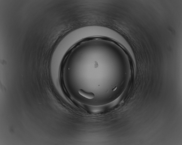 X0000090960642200708021417