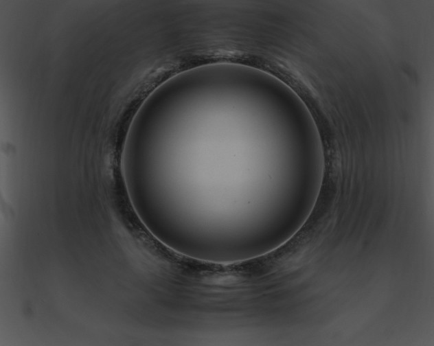X0000090960643200708021417