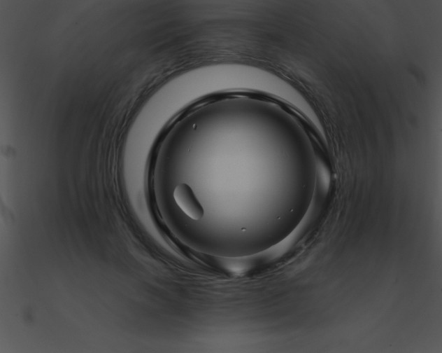 X0000090960646200708021417