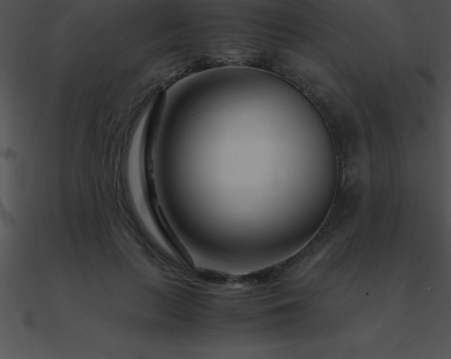 X0000090960647200708021417