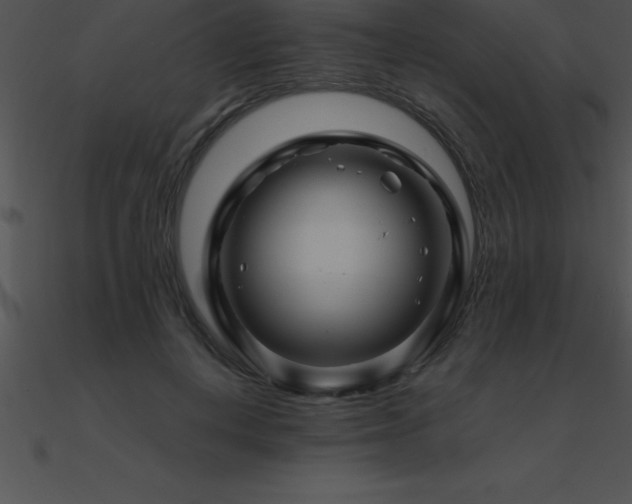 X0000090960648200708021417