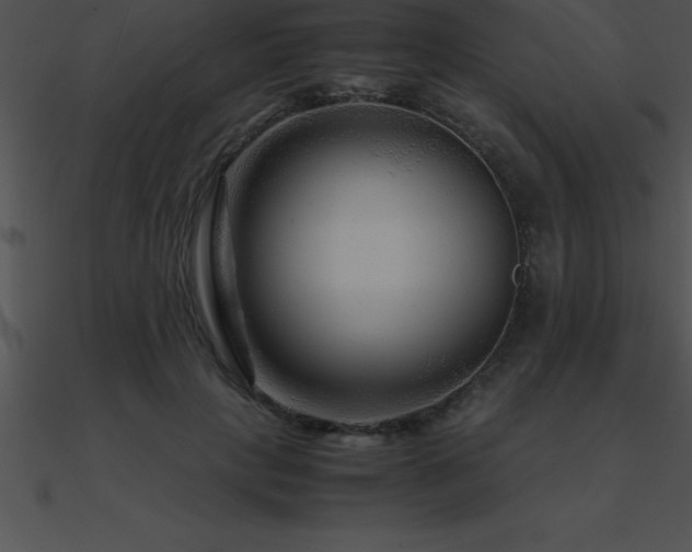 X0000090960649200708021417