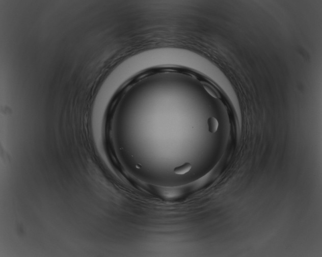 X0000090960650200708021417