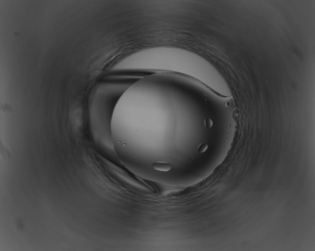 X0000090960652200708021417