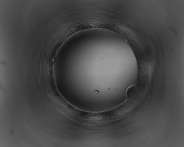 X0000090960653200708021417