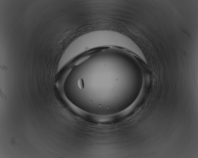 X0000090960654200708021417