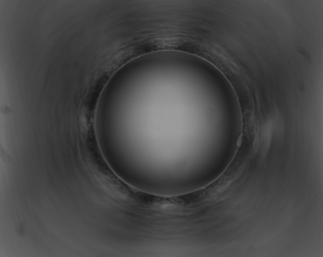 X0000090960655200708021417