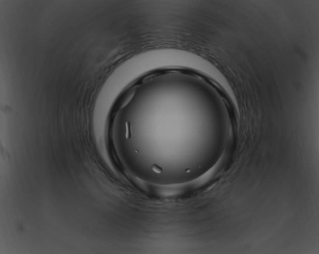 X0000090960656200708021417