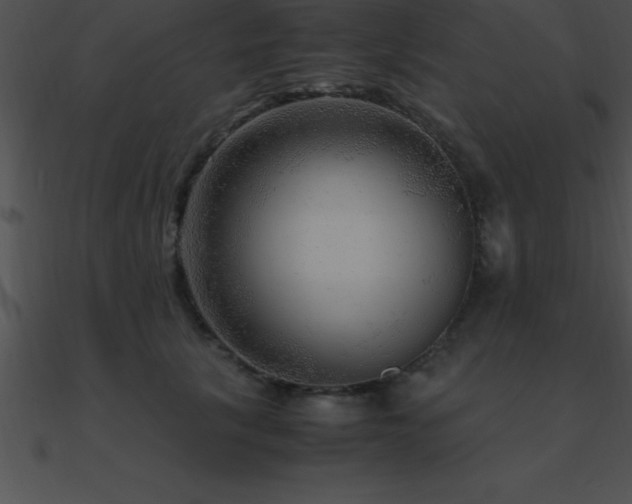 X0000090960657200708021417