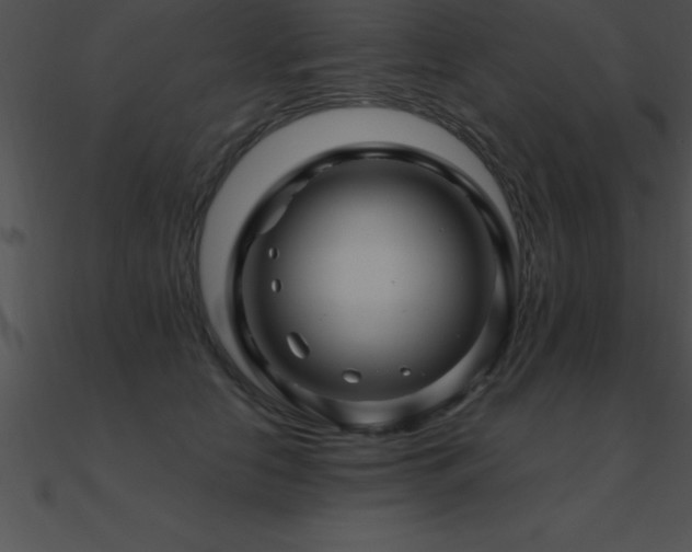 X0000090960658200708021417
