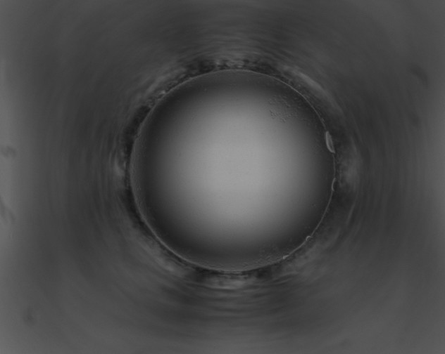 X0000090960661200708021417