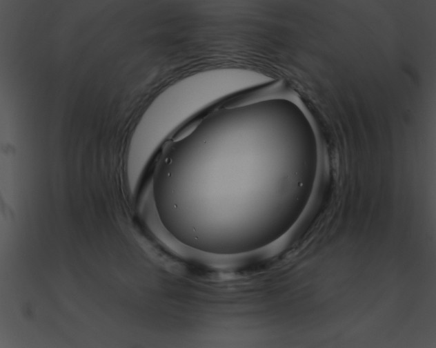 X0000090960662200708021417