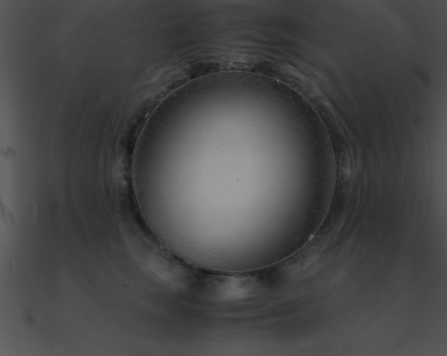 X0000090960663200708021417