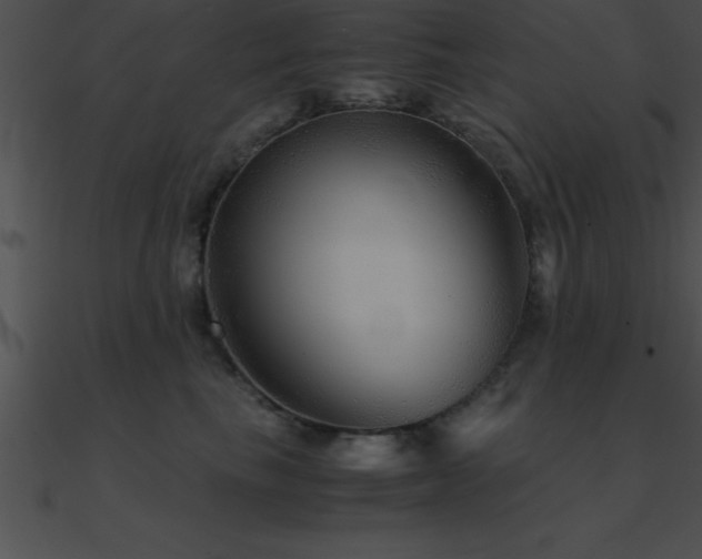 X0000090960665200708021417