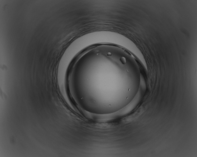 X0000090960666200708021417