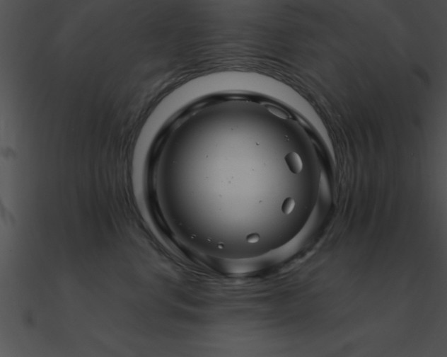 X0000090960668200708021417