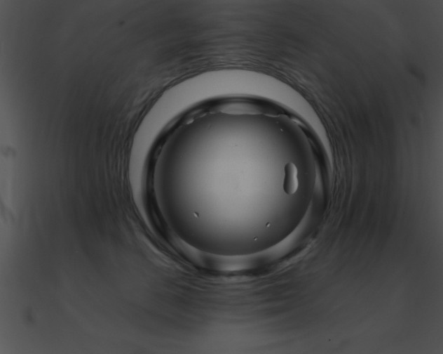 X0000090960670200708021417